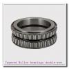 DX760136 DX307395 Tapered Roller bearings double-row