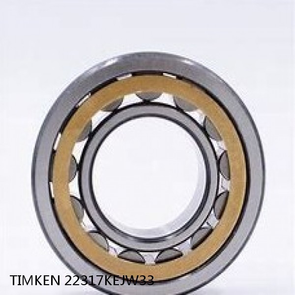 22317KEJW33 TIMKEN Cylindrical Roller Radial Bearings