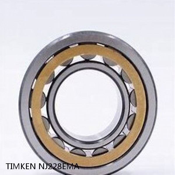 NJ228EMA TIMKEN Cylindrical Roller Radial Bearings #1 small image