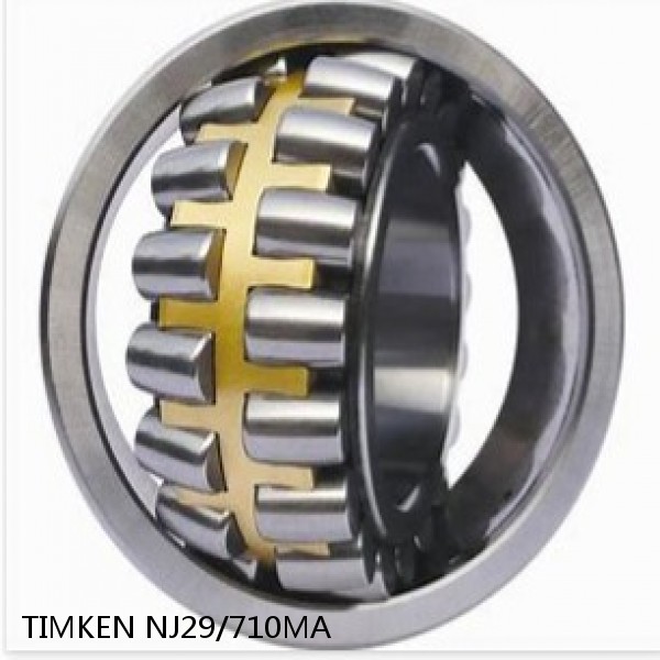NJ29/710MA TIMKEN Spherical Roller Bearings Brass Cage #1 small image