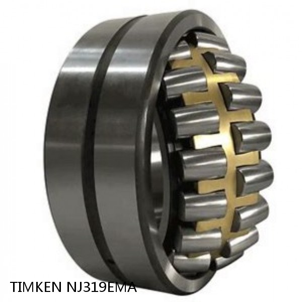 NJ319EMA TIMKEN Spherical Roller Bearings Brass Cage #1 small image