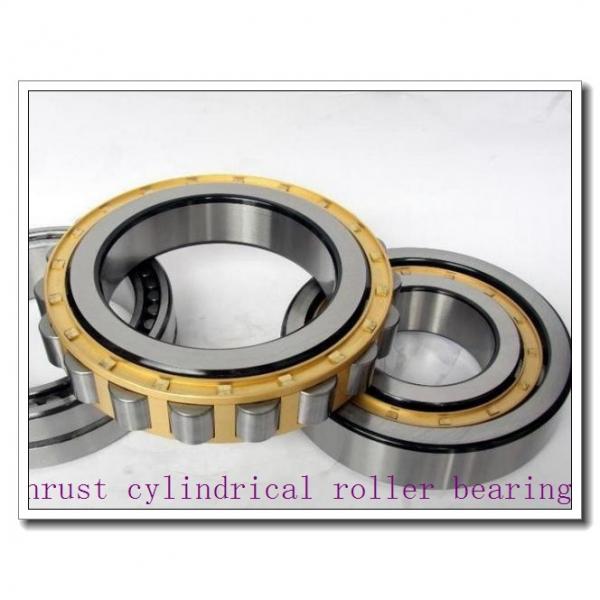 7549420 Thrust cylindrical roller bearings #1 image