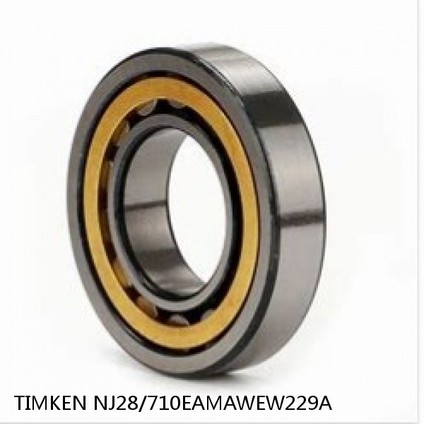 NJ28/710EAMAWEW229A TIMKEN Cylindrical Roller Radial Bearings #1 image